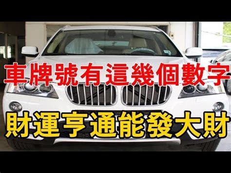 大吉車牌號碼2024|2024開運車牌大全